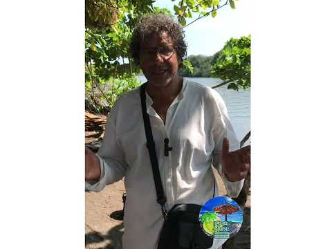 Los turistas prefieren la perla del Pacífico tumaco Nariño