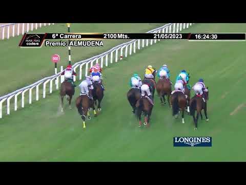 230521 c06 - TOMEO PRIMERO - HIPODROMO DE MARONAS