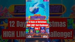 Swim to a Big Win? 12 Days of Christmas High Limit Challenge Day 7!