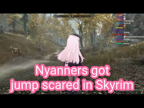 Nyanners got jump scared in Skyrim