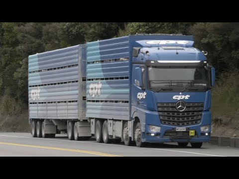 58 Mercedes Benz Trucks on the Road around New Zealand's South Island