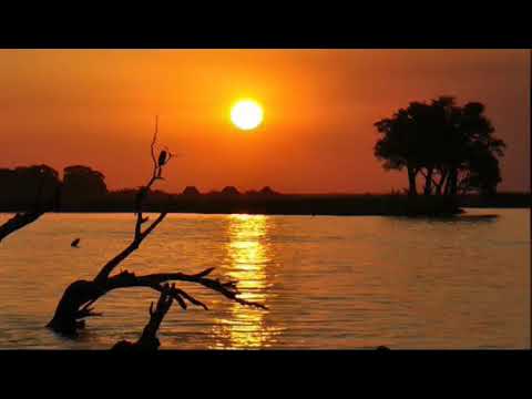 Walter Chilambo - Najivunia (Official Lyrics Video) [For SKIZA Sms "Skiza 7634535" to 811]