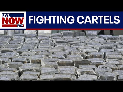 Video | U.S. military deploys troops to Caribbean to fight against drug cartels