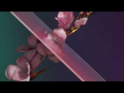 Flume - Never Be Like You feat. Kai (Instrumental) [With Outro Vocals]