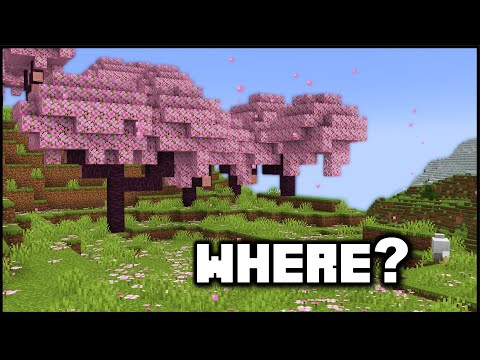 MaxStuff - Minecraft 1.20 - How To Find The Cherry Grove Biome! (Java/Bedrock)