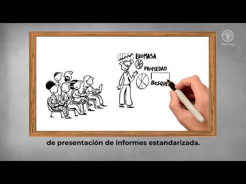 Comprender el proceso de Evaluación de los recursos forestales mundiales