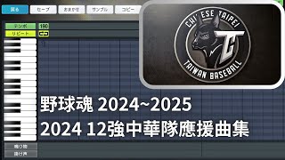[分享]【野球魂】2024 12強台灣代表隊應援曲集