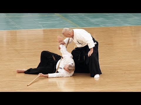 Hontai Yoshin-ryu Ju-jutsu - 42nd Japanese Kobudo Demonstration (2019)