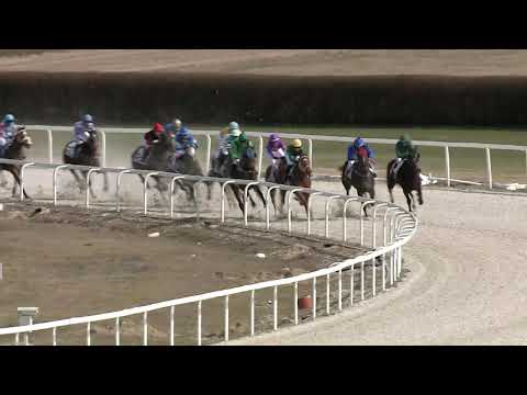 2021.03.28. 01. futam - ARANYESŐ HENDIKEP (IV.o.) (szintetikus pálya)