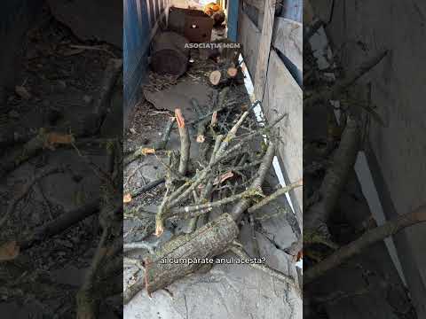 😢O zi face focul, două nu🥺Mulțumim Credit Prime România pentru lemnele oferite celor nevoiași🙏🏻