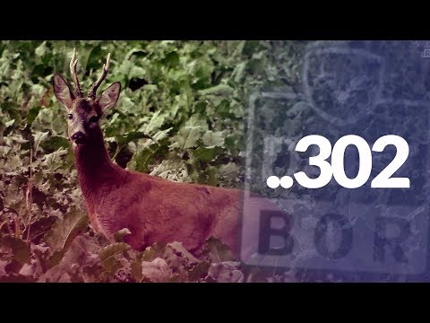 Darz Bór zapowiedź odcinka 302