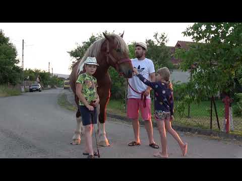 Armasarul lui Ionut de la Auseu, Bihor 25 Mai 2023