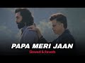 Papa Meri Jaan ( Slowed & Reverb ) Sonu Nigam | Raj Shekhar | Harshavardhan Rameshwar | Bikky Basfor
