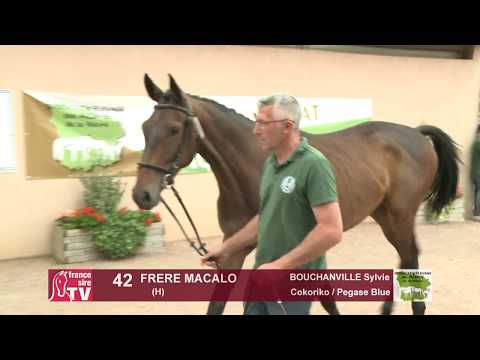 Concours Cercy 2017 - Lot 42 - Frere Macalo