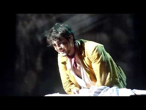 sur ma peau + prise de la bastille + fixe. 1789 les amants de la bastille 31.12.13