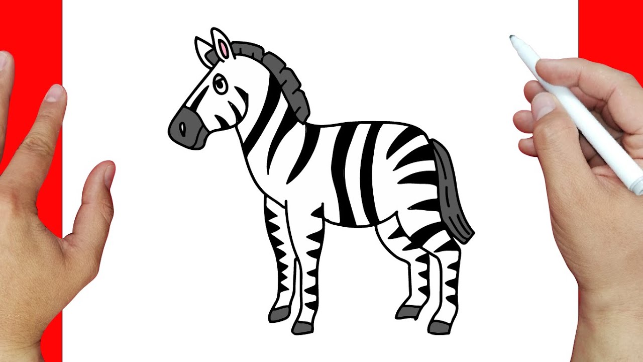 How to draw a zebra step by step | Easy drawings