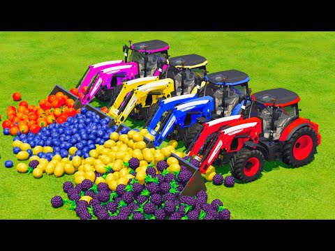 LOAD AND TRANSPORT FRUITS WITH McCORMICK TRACTORS - Farming Simulator 2022