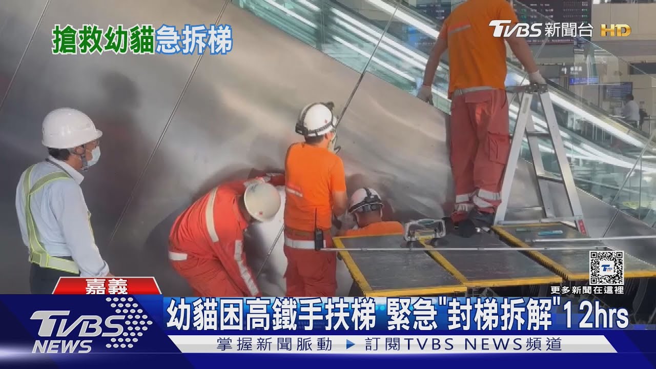 幼貓困高鐵嘉義站手扶梯　緊急「封梯拆解」12hrs