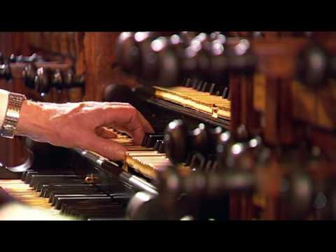 download lagu mp3 mp4 Sander Van Marion, download lagu Sander Van Marion gratis, unduh video klip Sander Van Marion