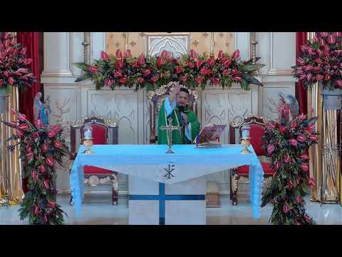 Vivamos con fe la Santa Misa de este viernes de la XXIV Semana del Tiempo Ordinario.
