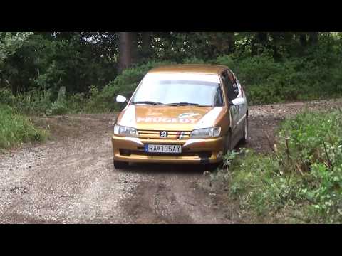 IX.Rally Lubenik 2017 Peter Siták-Martin Wilson