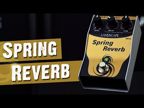 Pedal De Guitarra Landscape Srv2 Spring Reverb