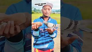 Download lagu OM JHON PRESENT AT LAPAK GANDARUM KAJEN PEKALONGAN DYNAMITE OUT EDANE BOLO mp3