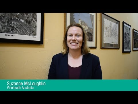 Vinehealth Australia discusses the heightened biosecurity risk for grape growers