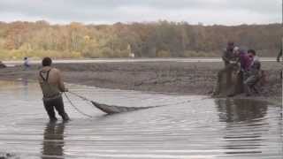 preview picture of video 'Vidange du Lac de Virelles - reportage du 11.11.2012'