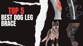 Top 10 Best Dog Leg Brace _ Dog Knee Brace