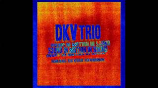 The Thing, DKV Trio, Sound in Motion in Sound