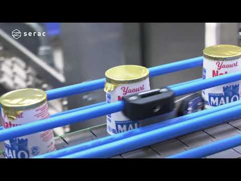 Yogurt in a Paper Cup