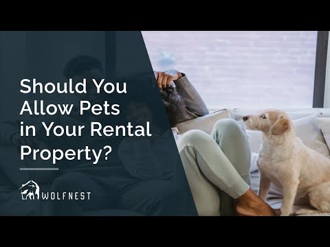 Should You Allow Pets in Your Rental Property?