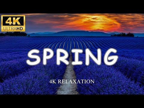Spring 4K - Amazing Colors of Spring 4K Nature Relaxation Film .the most beautiful season |4k UHD |