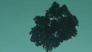 Download lagu 40 Lagu Terbaik Tipe X [ Full Album ] - Lagu Indonesia Terbaik & Terpopuler _Full-HD mp3