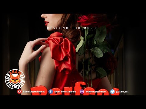 Unknown Gringo - Perfect [Audio Visualizer]