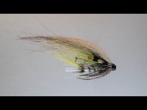 Silver Grey putkiperho, Perhonsidonta - Mikko Halonen