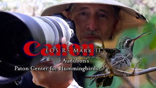 Canon R5 Mark II for Hummingbirds at Paton Center in Patagonia Arizona - a bucket list must. Part 1