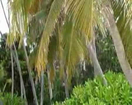 Vicky's Private Beach, Faru Island, Maldives