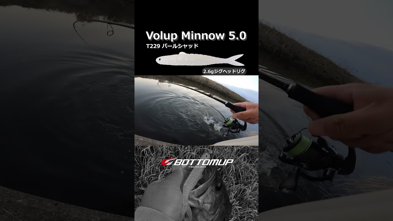 霞水系で好調！ヴァラップミノーのミドスト・ボトスト。#shorts #ボトムアップ #bottomup #霞ヶ浦水系 #梅田大地 #PR