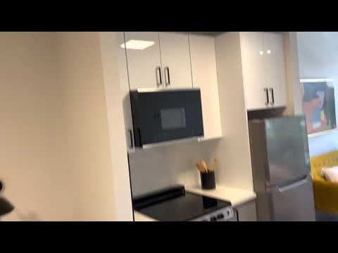 Sun drenched studio apartments with a washer and dryer.