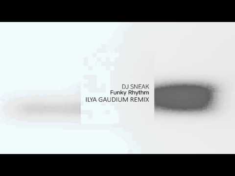 DJ Sneak - Funky Rhythm (Ilya Gaudium Remix)