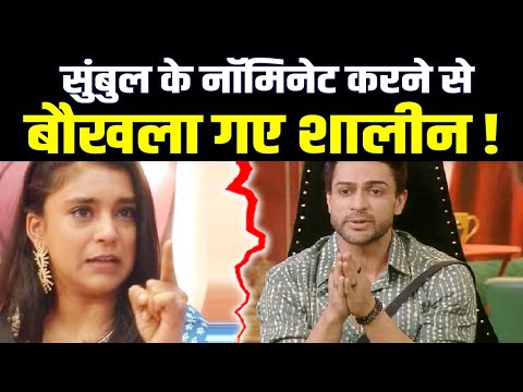 Sumbul ने किया नॉमिनेट तो Shalin को आया गुस्सा, Tina को बता दी सच्चाई !