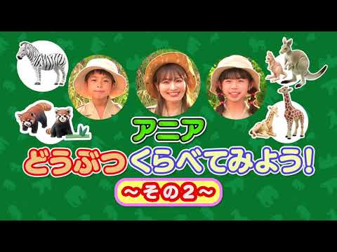 アニア どうぶつくらべてみよう！その2【タカラトミーキッズ】 親子で楽しくあんしん | ファミリー | クイズ | animal | 公式 | タカラトミー公式