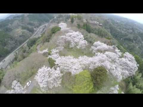 岡城址