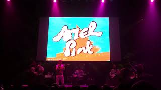 Ariel Pink - Live at The Wiltern, Los Angeles 5/17/2018