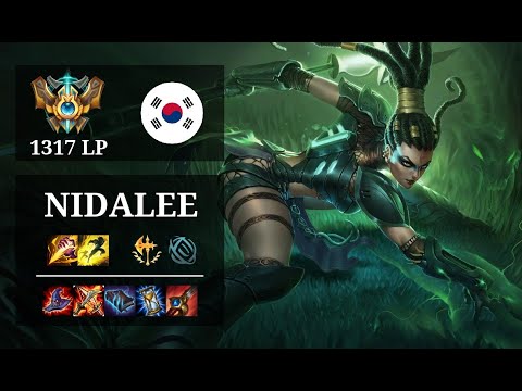 Nidalee Jungle vs Hecarim - Tarzan - KR Challenger (1317 LP) Patch 10.20