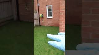 deep drilling a thick clay lawn * UPDATE *