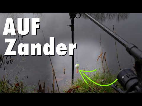 Zander fishing on the lake – My attempt with live bait in true feeder fishing weather!