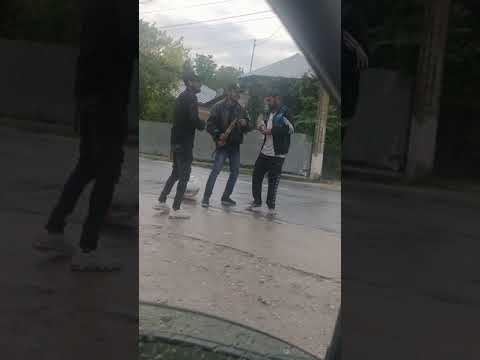 PANAREMELE DIN BUJORU